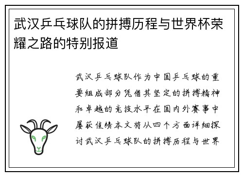 武汉乒乓球队的拼搏历程与世界杯荣耀之路的特别报道