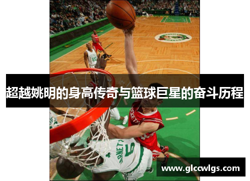 超越姚明的身高传奇与篮球巨星的奋斗历程