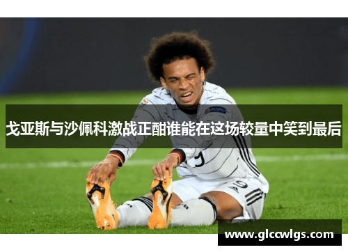 戈亚斯与沙佩科激战正酣谁能在这场较量中笑到最后